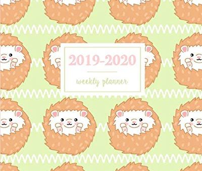 2019-2020 Weekly Planner: Cute Baby Hedgehog Green. Weekly and Monthly Standard Professional Calendar | 1 July 2019 - 31 December 2020 on Sale