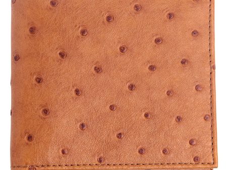 Exotic Twotone Tan Brown Ostrich Leather Wallet Online now